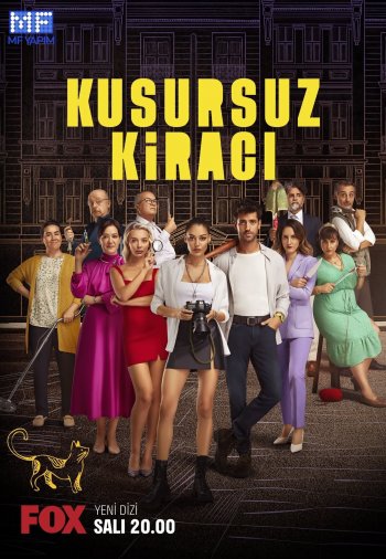 Турецкий сериал Идеальный арендатор